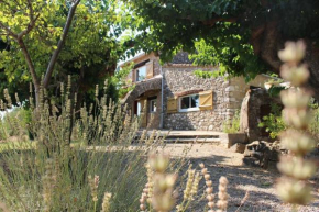 Maison typique provençal au cœur de la nature